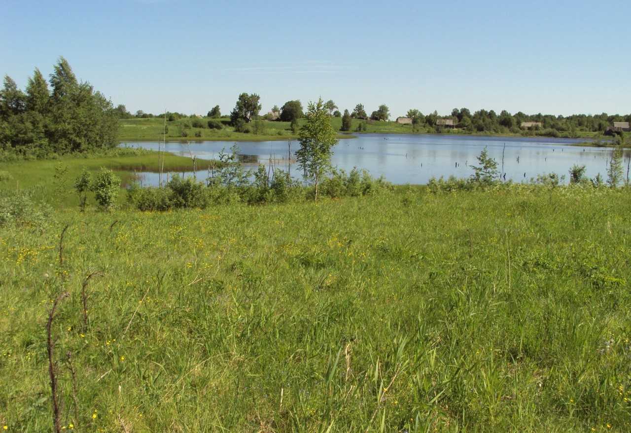 Купить Землю Новгородский Район