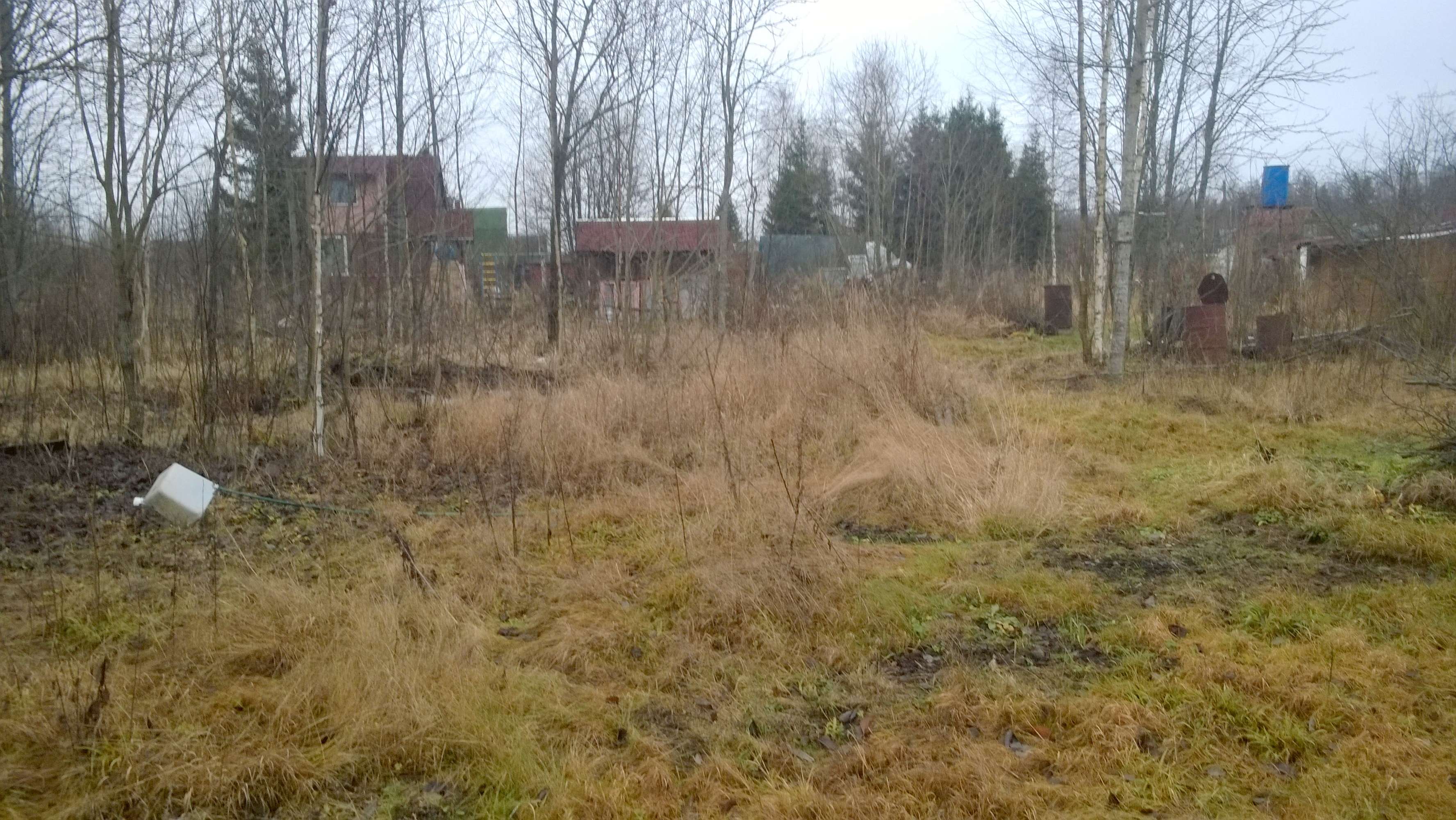 Кировский р-н, участок 6 соток, СНТ в городе Санкт-Петербург, фото 1, Ленинградская область