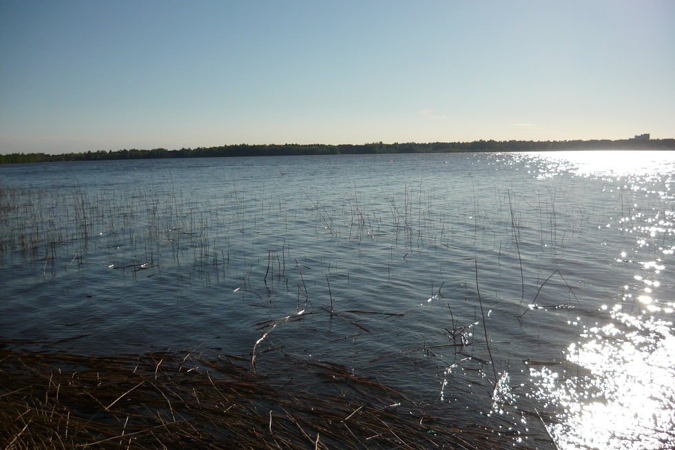 Участок для сельхоз производства в Веневском районе в городе Венев, фото 2, Тульская область