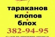 Гарантированное уничтожение клопов, тараканов в городе Екатеринбург, фото 2, телефон продавца: +7 (961) 773-09-60