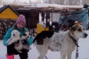 Щенки в добрые руки в городе Барнаул, фото 1, Алтайский край