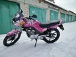 Yamaha YBR 125 в городе Москва, фото 2, телефон продавца: +7 (926) 395-20-26