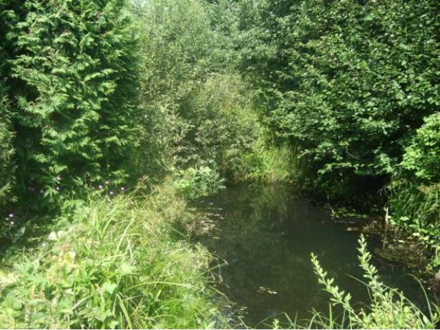 Продается дача, Дмитровский р-н, село Борисово в городе Дмитров, фото 2, Московская область