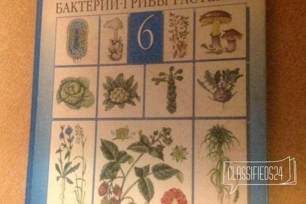 Биология 6 класс Пасечник 2002 год в городе Казань, фото 1, телефон продавца: +7 (917) 273-10-24