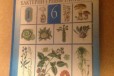 Биология 6 класс Пасечник 2002 год в городе Казань, фото 1, Татарстан