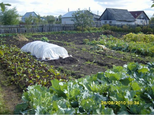 Продаю большой кирпичный дом в городе Приволжск, фото 3, Ивановская область