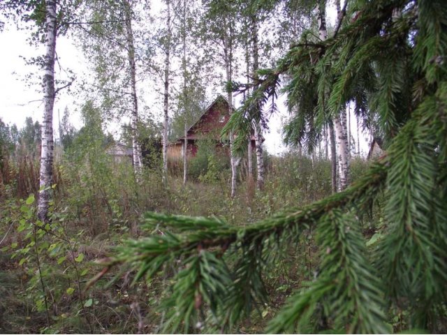 Мечта Москвича! в городе Кострома, фото 2, Костромская область