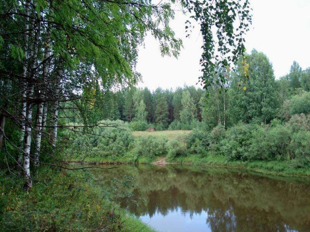 Дом в живописной деревне у реки в городе Ржев, фото 5, Тверская область