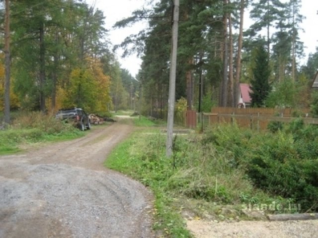 Вырица, 2 дома, уч-к 16 сот. свой выход в лес в городе Вырица, фото 4, Ленинградская область