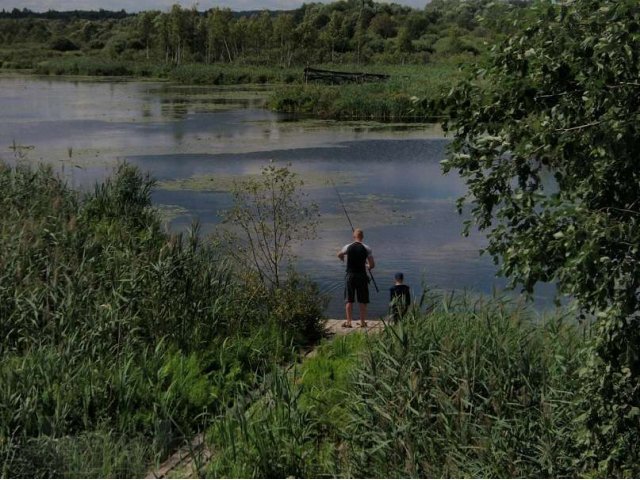 зем.уч. Мошенской р-н в городе Боровичи, фото 8, Новгородская область