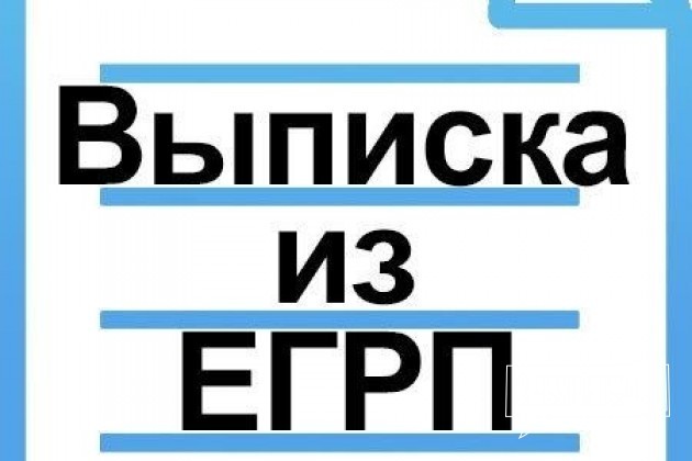 Выписки из егрп и гкн в городе Пермь, фото 1, стоимость: 200 руб.