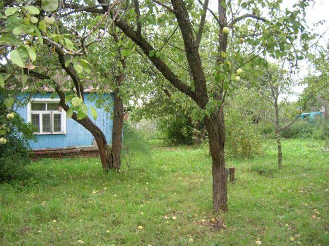 Дом в деревне на просторном участке в городе Малоярославец, фото 4, стоимость: 2 900 000 руб.