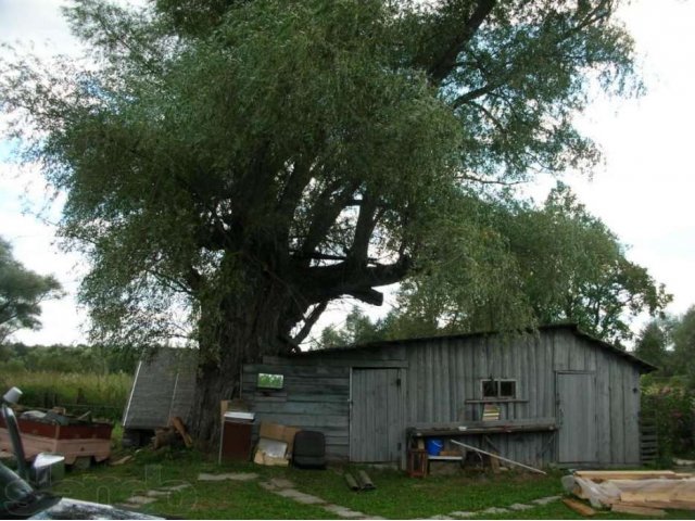 Дом из  бревна в Косилово с пропиской в городе Малоярославец, фото 5, Калужская область