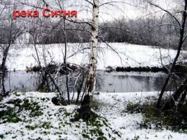 Дом на берегу реки в городе Сольцы, фото 5, Новгородская область