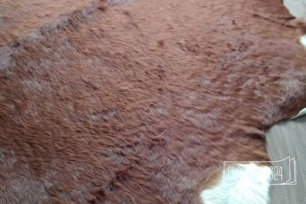 Коровья шкура натуральная ikea в городе Троицк, фото 1, стоимость: 10 000 руб.
