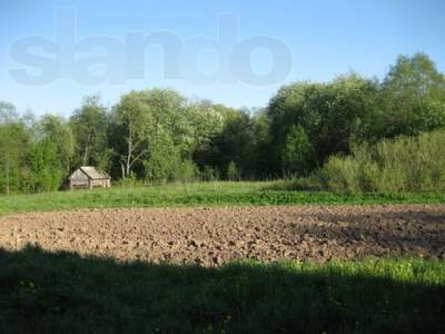 Продаю дом в Ленинградской области Сланцевский район в городе Сланцы, фото 3, стоимость: 900 000 руб.