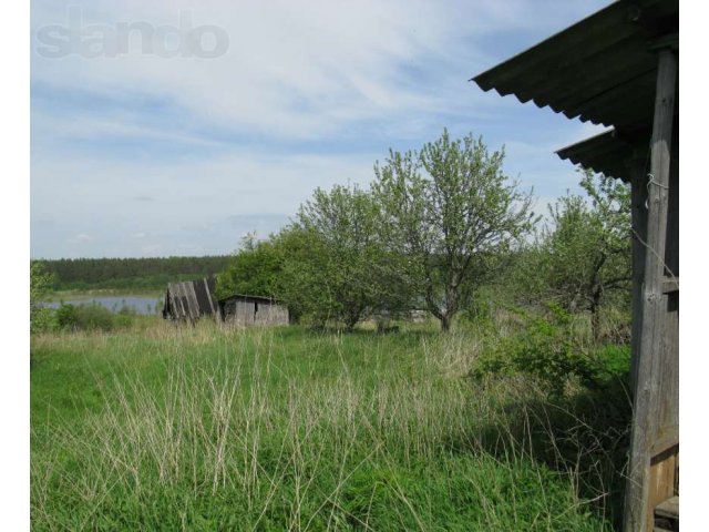 Продается дом и земельный участок на берегу озера в городе Пустошка, фото 3, Псковская область