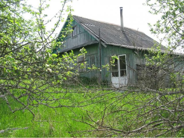 Продается дом и земельный участок на берегу озера в городе Пустошка, фото 4, стоимость: 290 000 руб.