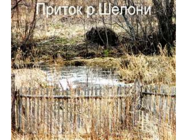 Продажа дома на берегу реки в городе Сольцы, фото 6, стоимость: 550 000 руб.