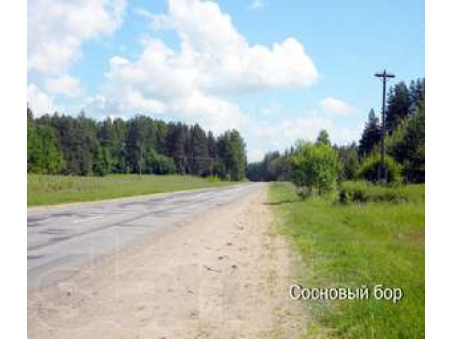 Продажа дома на берегу реки в городе Сольцы, фото 8, Новгородская область