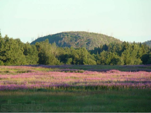 Хутор,Карелия Лахденпохский р-н в городе Петрозаводск, фото 5, Карелия