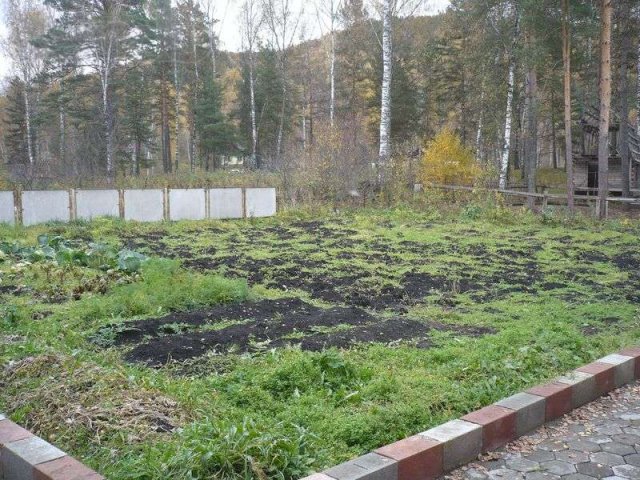 Дом в с. Соузга, Горный Алтай, можно под турбазу в городе Барнаул, фото 8, Алтайский край