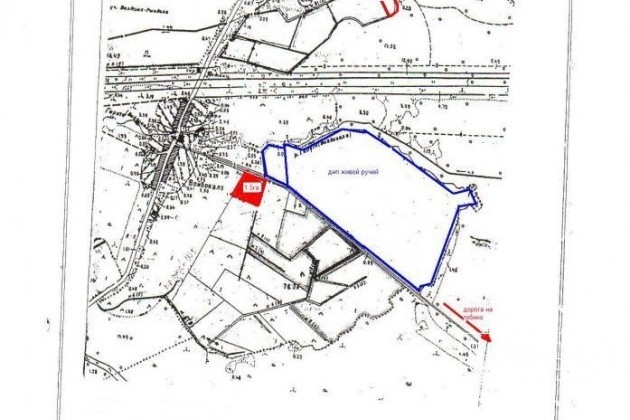 Участок 1.5 га (СНТ, ДНП) в городе Санкт-Петербург, фото 2, Ленинградская область