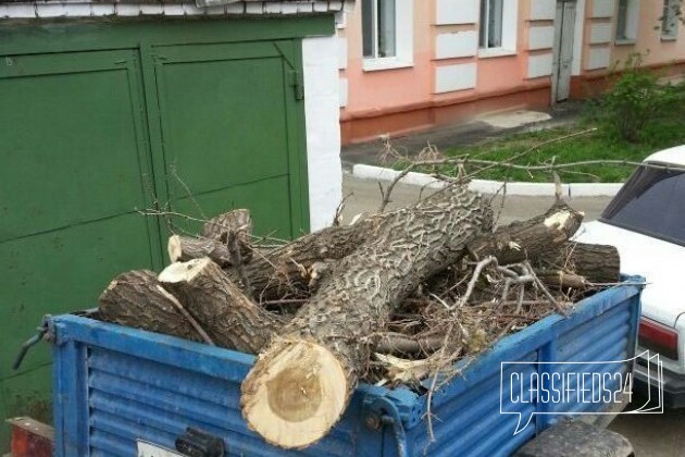 Прицеп легковой В аренду в городе Оренбург, фото 4, Аренда транспорта