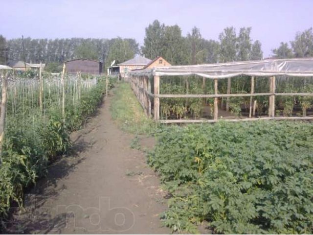 Продам дом в Благовещенском районе Алтайского края в городе Барнаул, фото 3, стоимость: 700 000 руб.