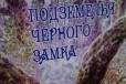 Книга-игра квест Подземелье черного замка в городе Новосибирск, фото 1, Новосибирская область