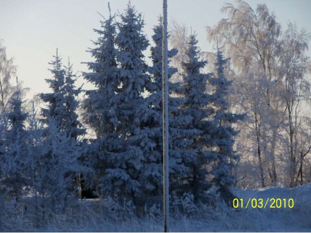 Продается 1/2 дома на о.Волго, с земельным участком. в городе Ржев, фото 3, стоимость: 670 000 руб.