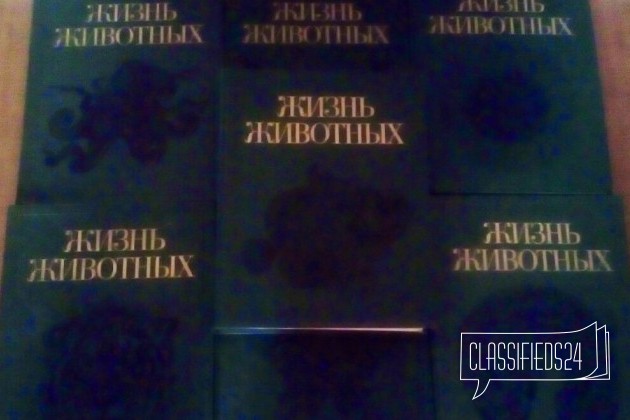 Мир животных в городе Воронеж, фото 1, стоимость: 2 000 руб.