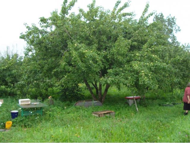 Зимний дом в жилой деревне в городе Кингисепп, фото 4, Продажа домов за городом