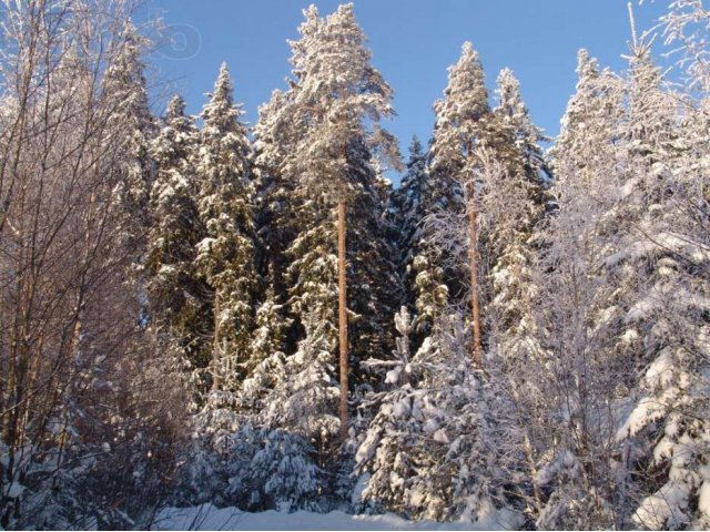 Коттедж в Рощино в городе Санкт-Петербург, фото 3, стоимость: 6 950 000 руб.