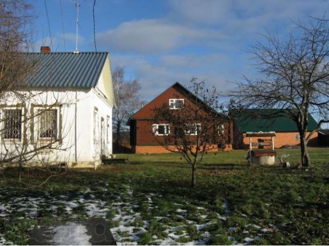 Можно влюбиться после первого просмотра! в городе Воскресенск, фото 1, Московская область