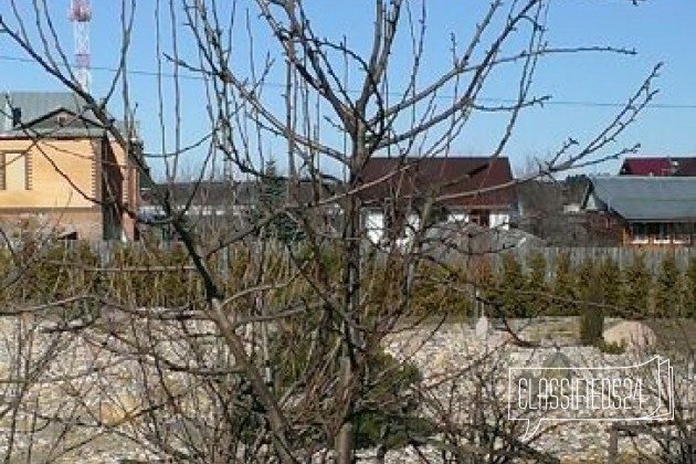 Обрезка деревьев в городе Сергиев Посад, фото 2, телефон продавца: +7 (926) 565-71-20
