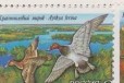 Россия 1992 г. Фауна. Утки, серия 3 марки в городе Воронеж, фото 1, Воронежская область