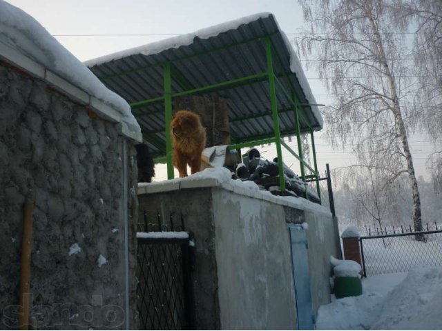 Продам котедж! в городе Белово, фото 5, Кемеровская область