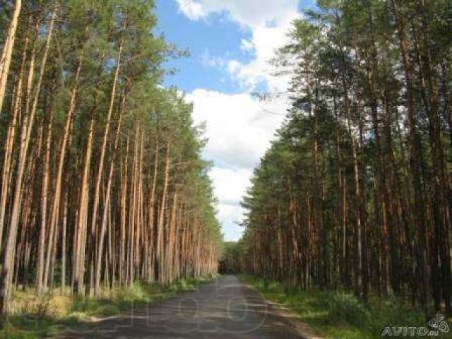 Продаю землю ЛПХ 25 соток в д.Петрово г. Малоярославец. в городе Малоярославец, фото 2, Продажа домов за городом