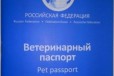 Ветеринарный паспорт для животных в городе Пермь, фото 1, Пермский край