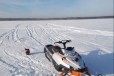 Arctic cat в городе Екатеринбург, фото 1, Свердловская область