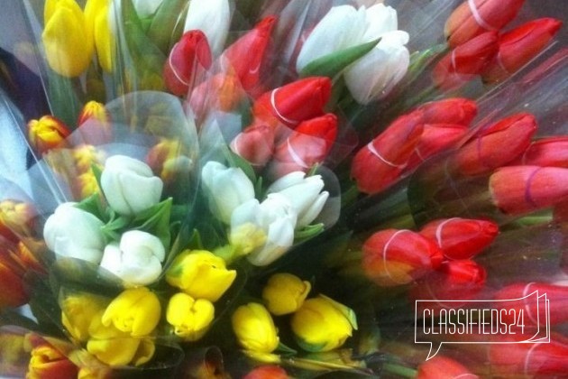 Тюльпаны оптом и в розницу в городе Ростов-на-Дону, фото 1, Ростовская область