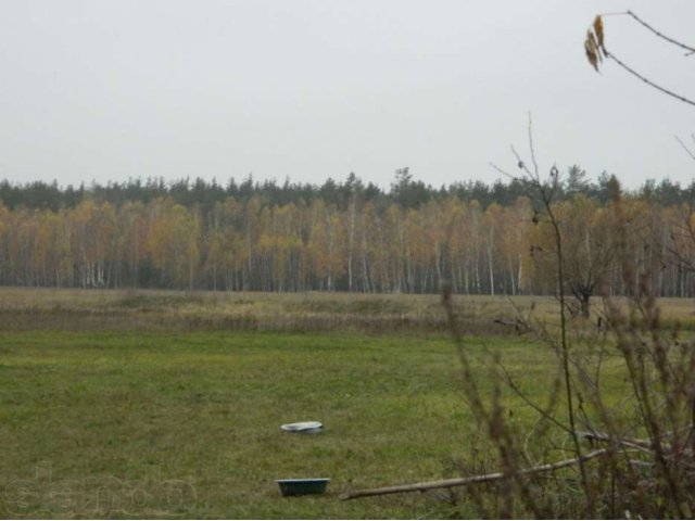 Продаю дом в деревне. в городе Касимов, фото 2, Рязанская область