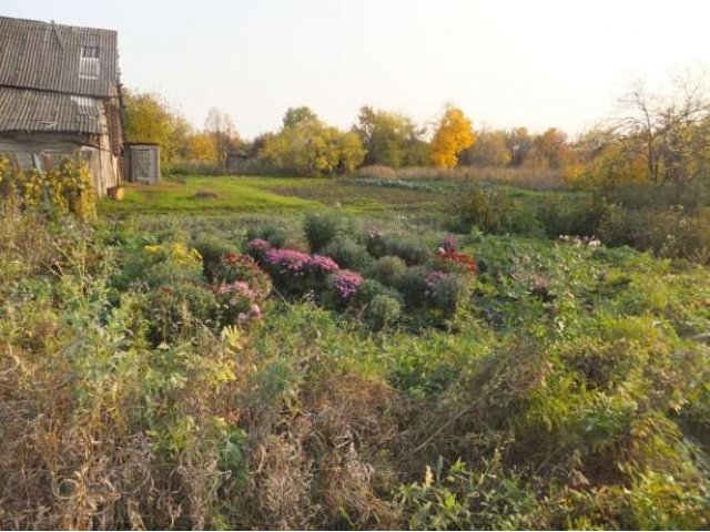 Участок с домом в городе Юрьев-Польский, фото 2, Продажа домов за городом