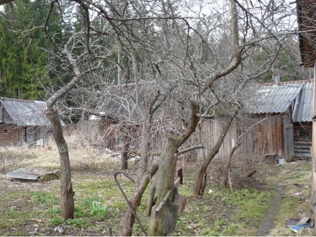 Хороший зимний дом S51,8с садом,баней в городе Луга, фото 2, Ленинградская область