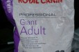 Корм Royal Canin Giant Adult в городе Пермь, фото 1, Пермский край