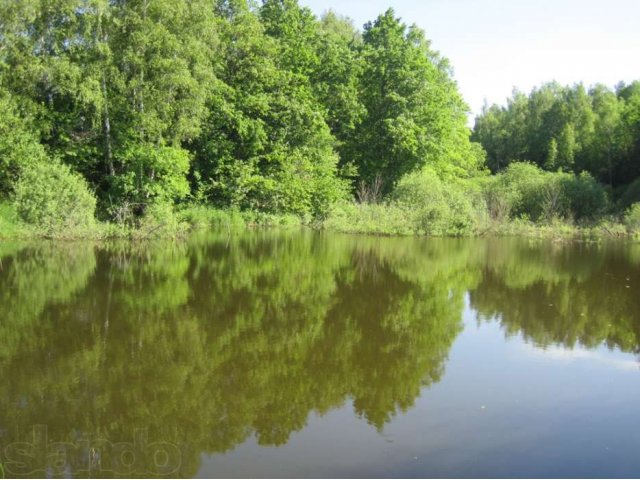 99 км  Киевскому ш.Дом в д.Ильичёвка 66м.бревно на 35 сотках свет,вода в городе Балабаново, фото 8, Калужская область