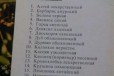 Лекарственные растения открытки в городе Туапсе, фото 2, телефон продавца: +7 (918) 203-05-01