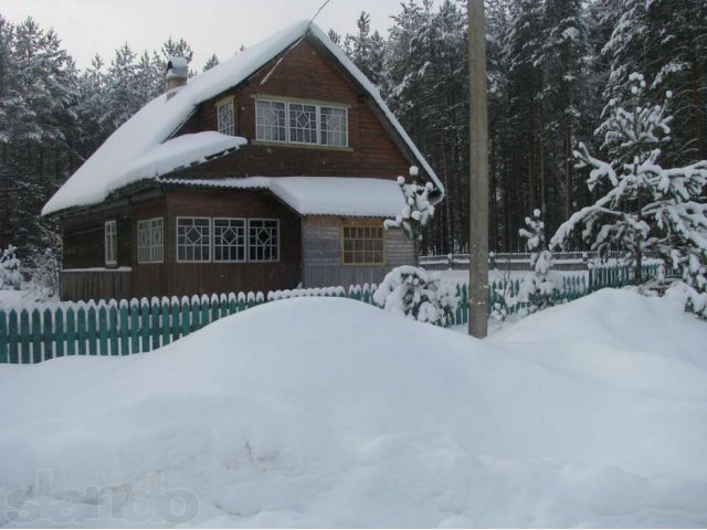 Авито боровичи новгородская