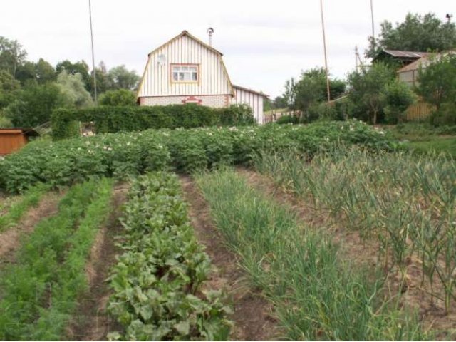 Дом в Юхновском районе 179 км. от Мкад по Варшавскому шоссе в городе Юхнов, фото 7, Продажа домов за городом